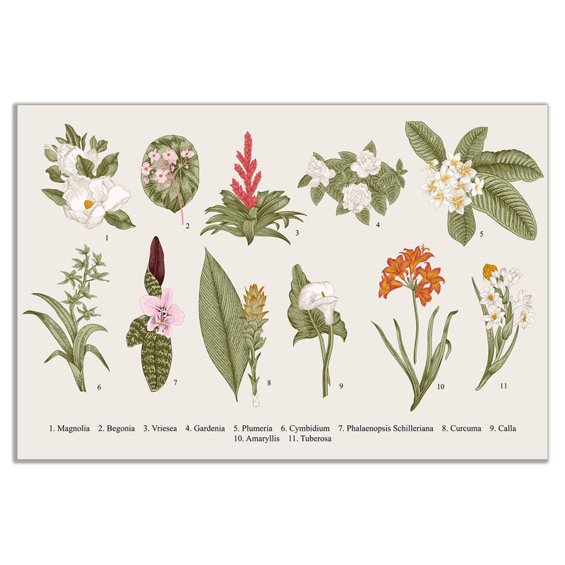 Exotic Flowers - Wrapped Canvas Print, 20cm H x 31cm W