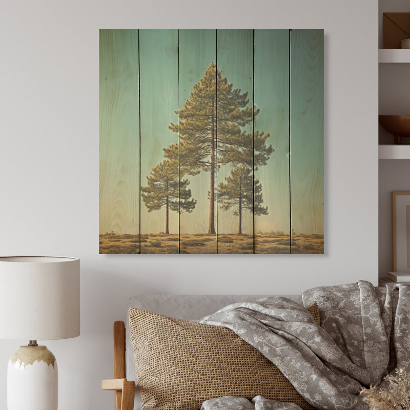 «Pine Tree Perspectives in Forest I», art sur bois de pin naturel, H 36 po x l 36 po
