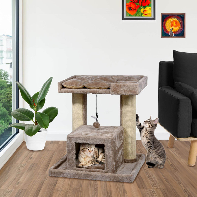Georgios Scratching Post