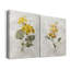 Canari lin géranium - ensemble de 2 reproductions d'art-755999316-755999315-755692019