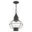 Lanterne suspendue d'extérieur 1 lumière H 14,75 po Aster-786309571