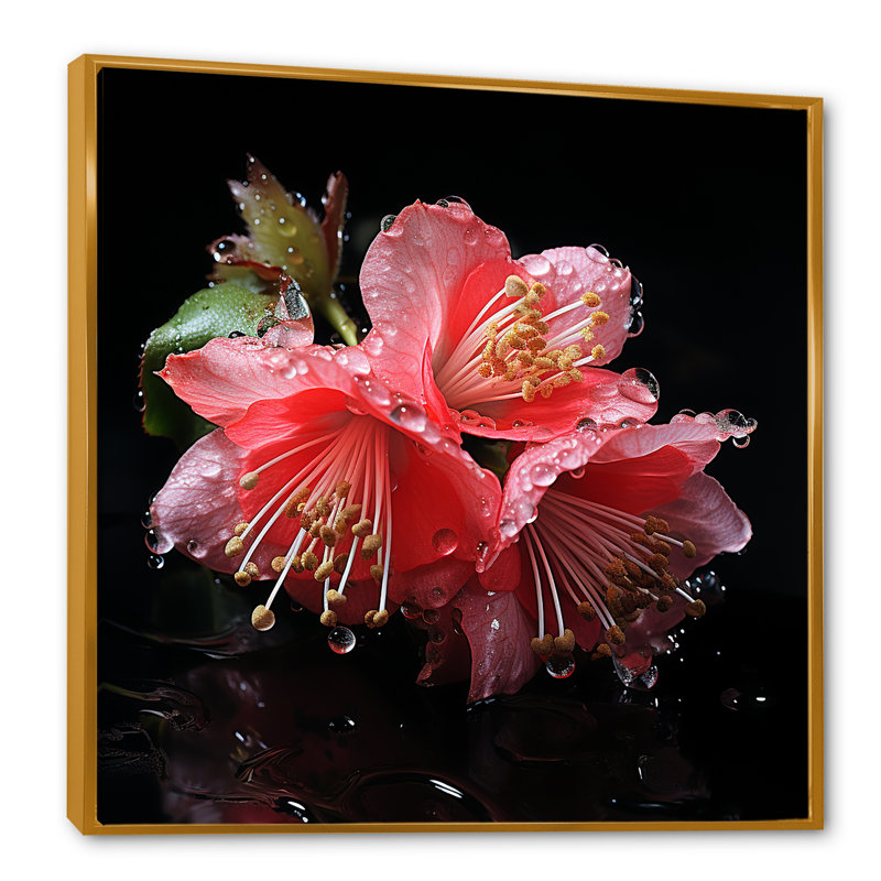 Fuchsia rose et noire - art mural fuchsia, Cadre flottant doré, H 36 po x l 36 po