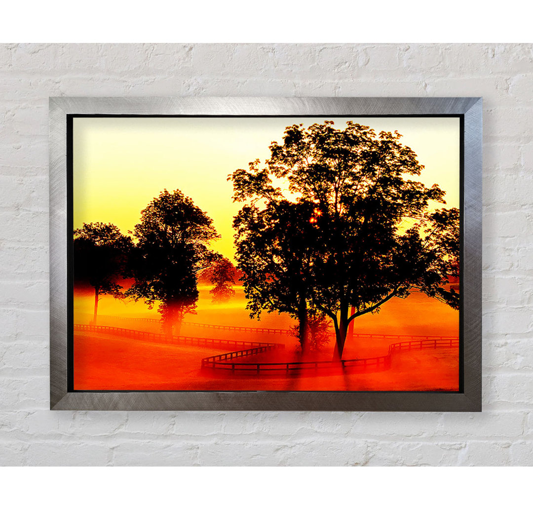 Orange Treeline Mist - Druck