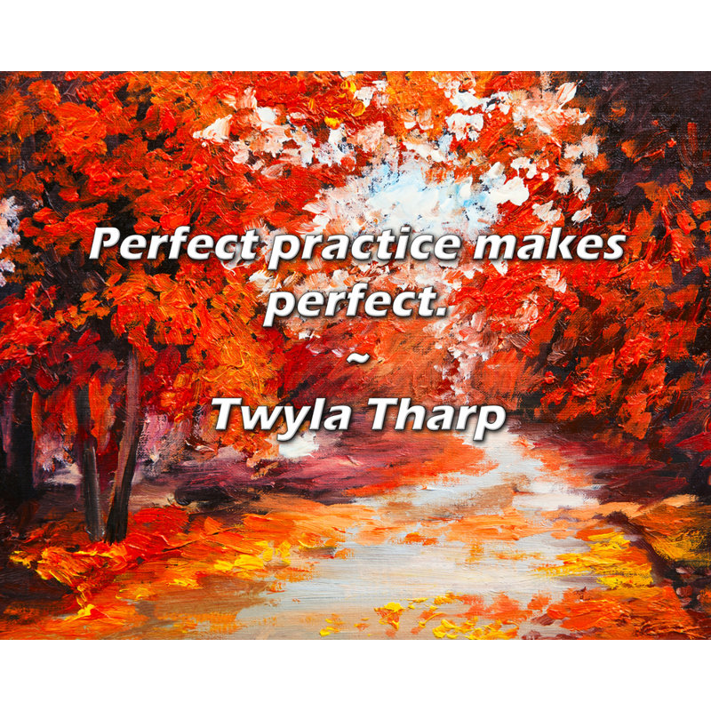 Twyla Tharp Quote: Perfect practice makes perfect., 20" H x 24" W