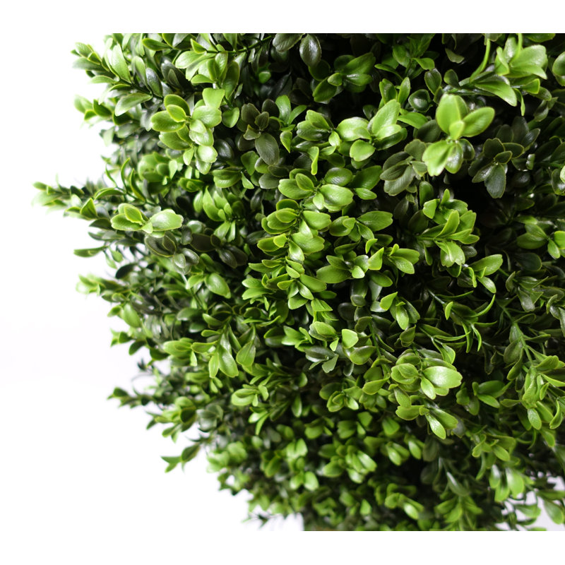 120cm Plant
