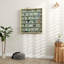Display Cabinet-1209896252