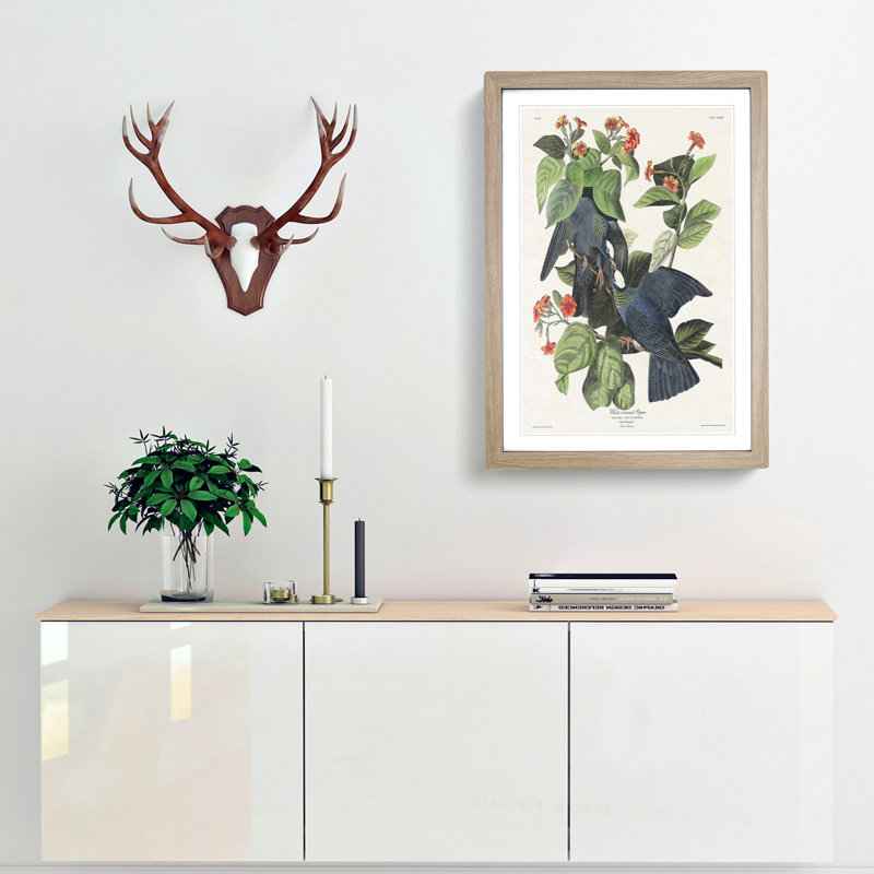 White-Crowned Pigeons by John Audubon - Picture Frame Painting Print, 36cm H x 27cm W x 2cm D, Oak Framed