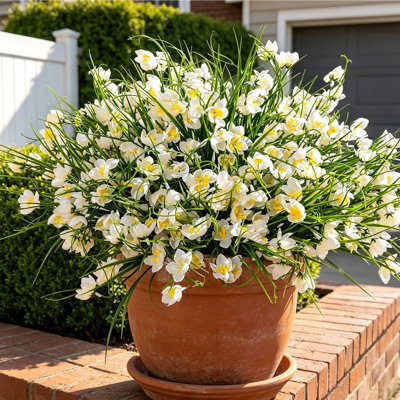 8 pièces de fleurs artificielles d'extérieur résistantes aux rayons UV et à la décoloration, 8 paquets de fausses fleurs réalistes pour le jardin, le patio, la pelouse, artificielles