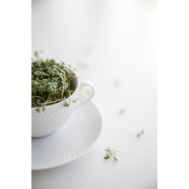 Handmade Porcelain Teacup, White, 8.1 Oz