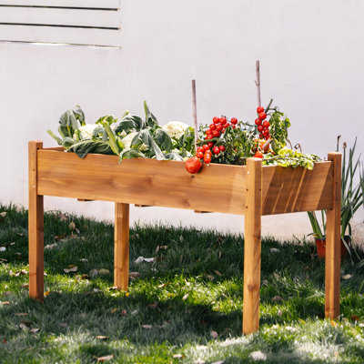 Archbald 49.5" W Solid Cedar Wood Raised Garden Bed with Liner