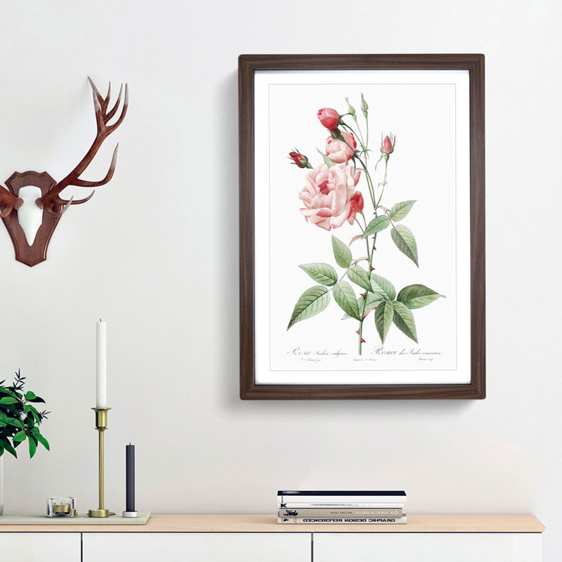 Pink Blush China Rose by Pierre-Joseph Redoute - Picture Frame Painting Print, 65cm H x 48cm W x 2cm D, Walnut Framed