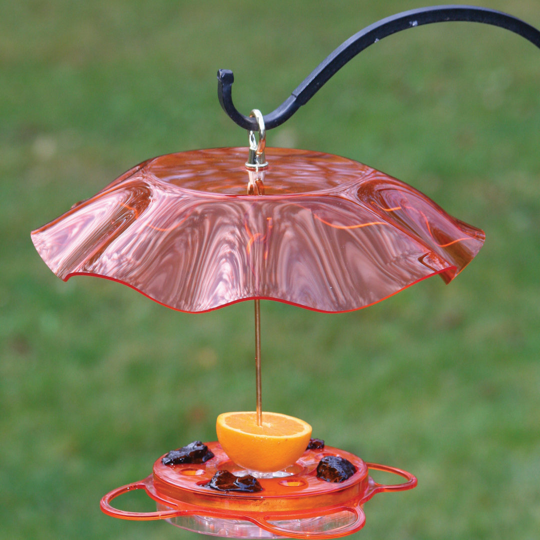 Birds Choice 12 oz. Oriole-Fest Feeder with Weatherguard, Orange Birds Choice