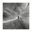 « limity child child », reproduction de photo sur toile tendue-29763892