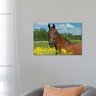Canada, Manitoba, Grosse Isle by Jaynes Gallery - Wrapped Canvas Print