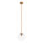 1 - Light Single Globe Pendant
