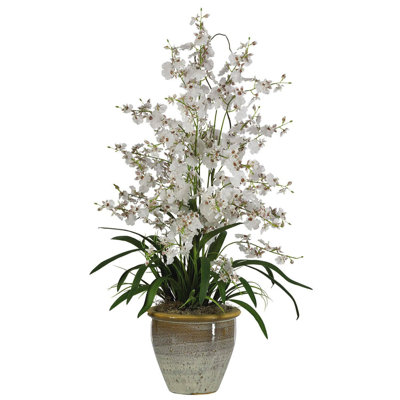 Orchid Arrangement in Pot