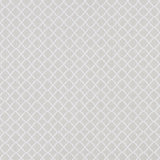 Prince of Persia Ariyana Fabric
