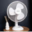 Samuel Alexander 19cm Table Fan Fan