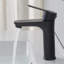 Robinet de salle de bain un trou noir mat Tayanuc, robinet de meuble-lavabo en acier inoxydable à poignée simple pour lavabo de salle de bain avec tuyaux d'alimentation en eau