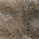 Mercury Area Rug in Beige