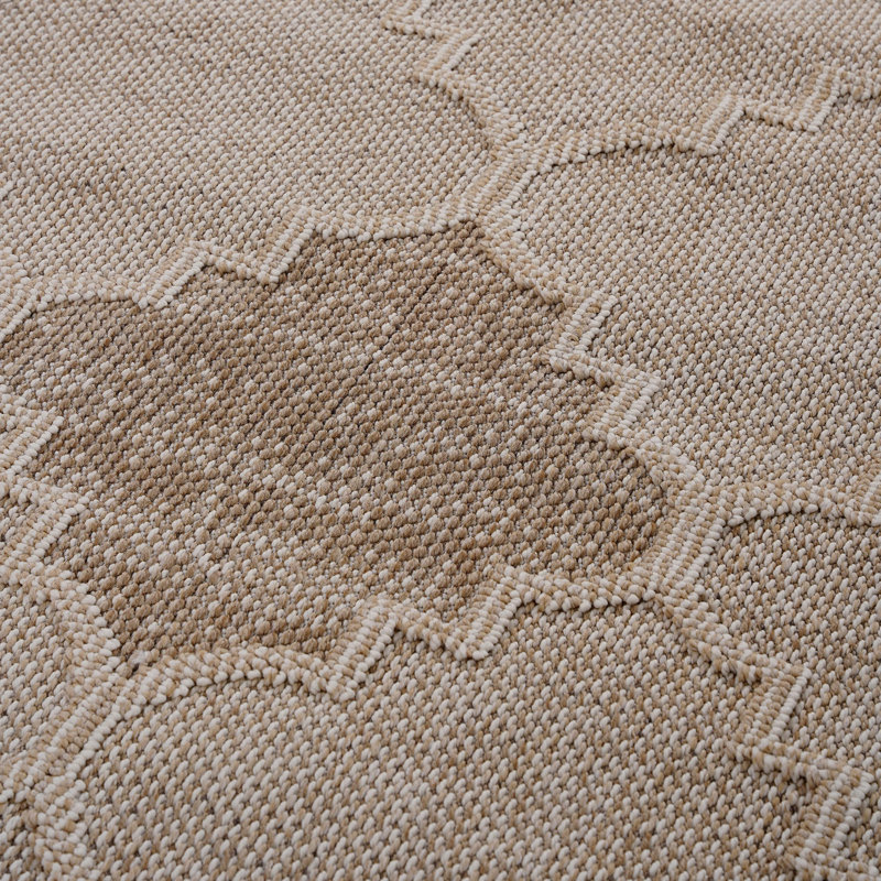 LOOM & LUXE Collection 5X7 Cream /Trellis Indoor/Outdoor Area Rug, Rectangle 5'3" x 7'6", Cream/Brown