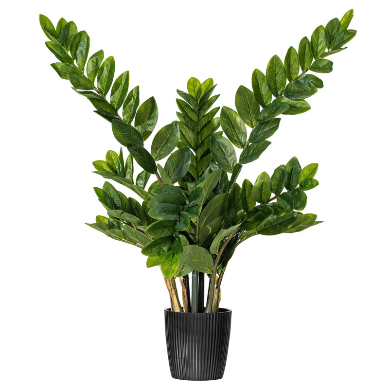 Buisson artificiel zamifolia zen vert en pot, H 36 po x l 20 po x P 20 po