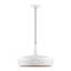 Luminaire suspendu géométrique 1 lumière Charon-189689670-189689721