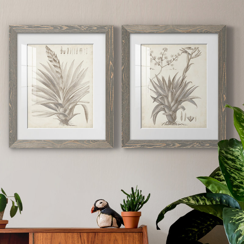 Sépia plantes exotiques III - ensemble de 2 reproductions d'art sur papier encadré, H 24 po x l 36 po x P 1,5 po