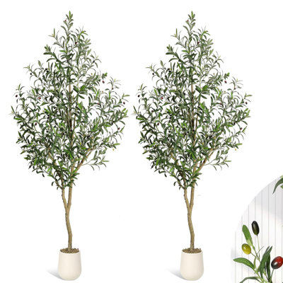 152.4cm Plant