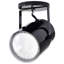 1 - Light Spotlight-1465935062