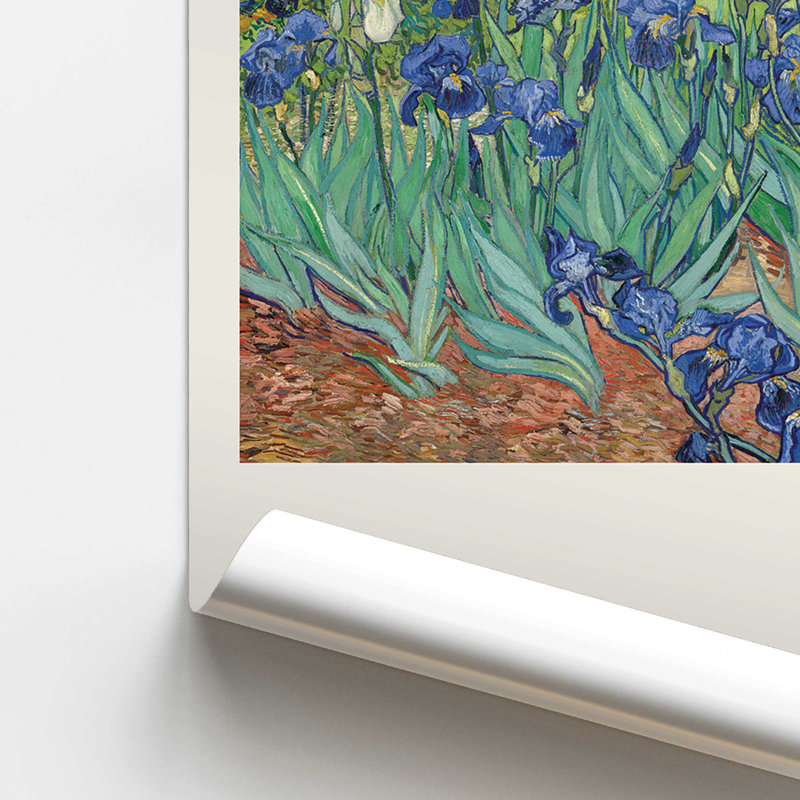Iris de Van Gogh v2, Ne s’applique pas, H 36 po x l 24 po, Impression sans cadre