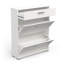 Barbaa 12 Pair Shoe Storage Cabinet