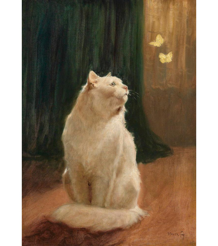 "Chat blanc et deux papillons de soufre" par Arthur Heyer - Art mural sur toile tendue avec châssis, H 24 po x l 17 po