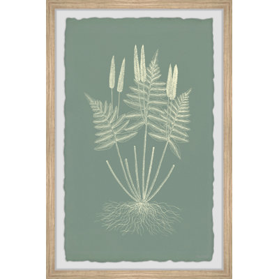 Ferns On Sage VII by Marmont Hill - Single Picture Frame Painting