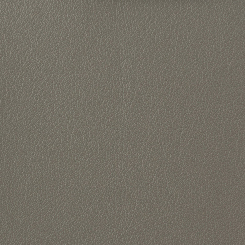 Otto Fabric, Gray