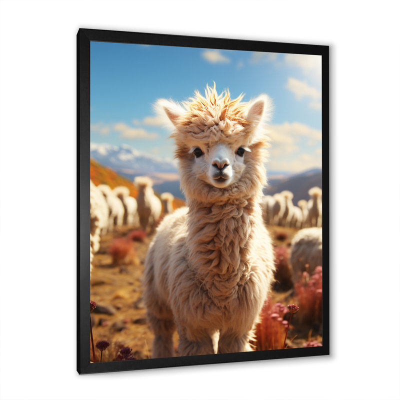 Barirah Alpacas Animal An Extremely, reproduction d'art sur toile, H 20 po x l 12 po x P 1 po, Cadre photo noir