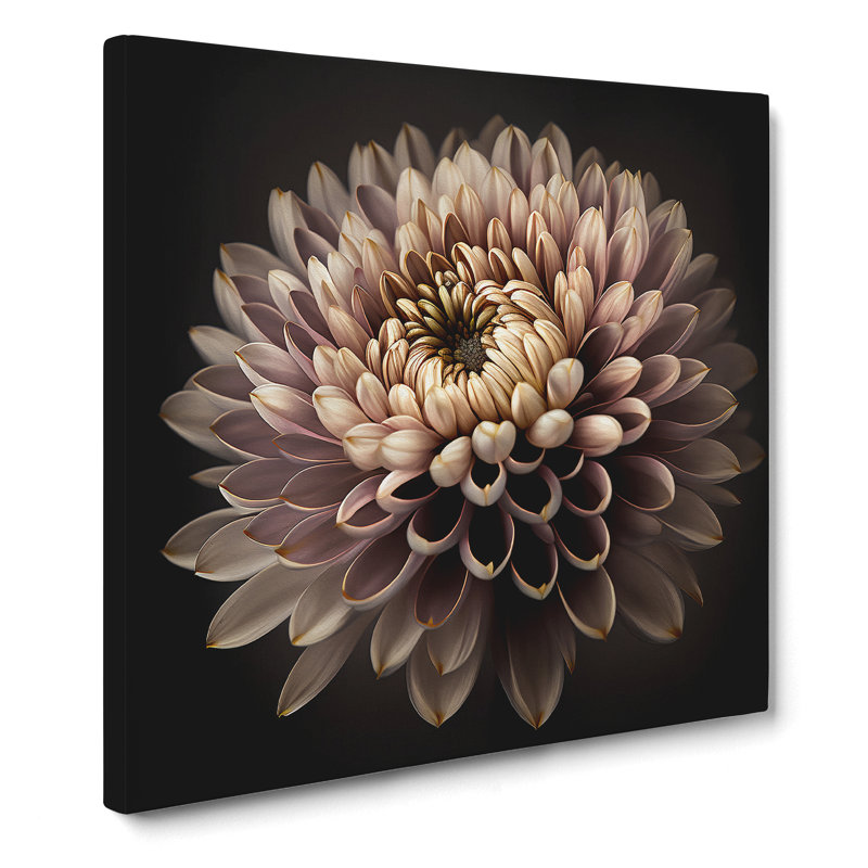 Chrysanthemum Photograph - Print, 35cm H x 35cm W x 3cm D