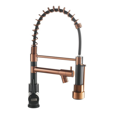 Belfry Kitchen Krokowski Pull Out Kitchen Faucet