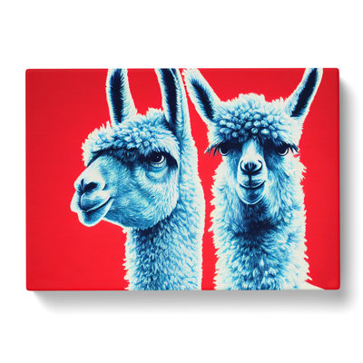 Ingenious Llamas - Wrapped Canvas