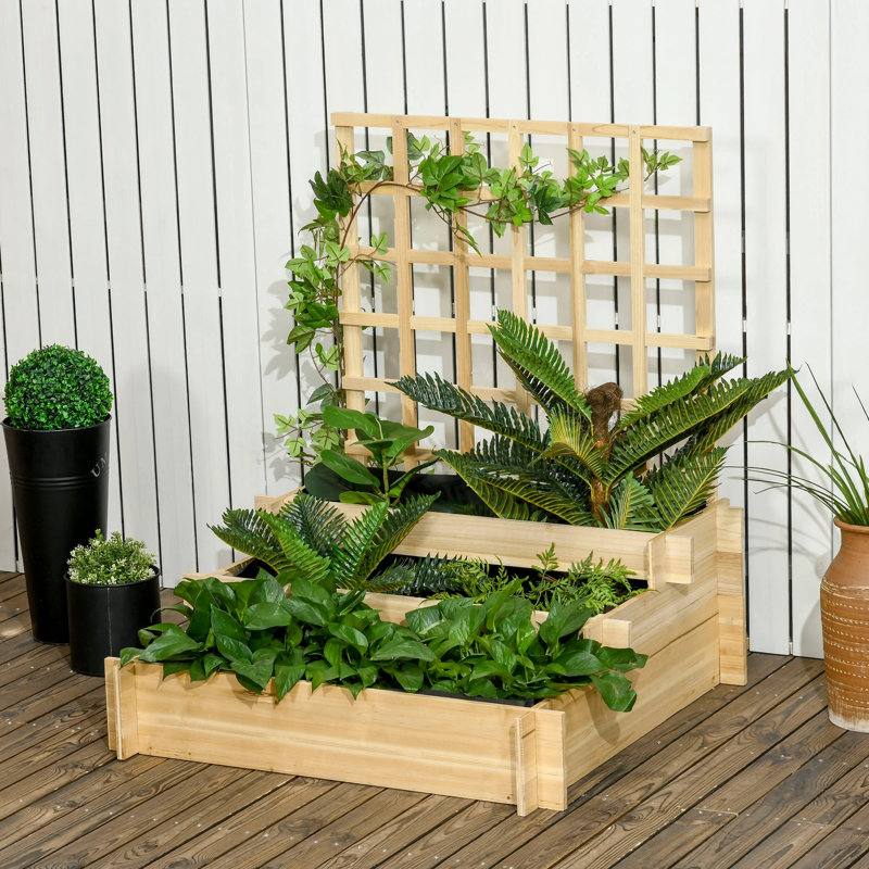 Briesha Wood Raised Garden Bed