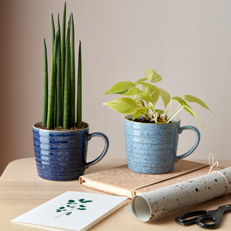 Denby Studio Blue Ridged Mugs