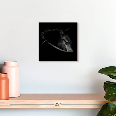 Art du cheval Brampt