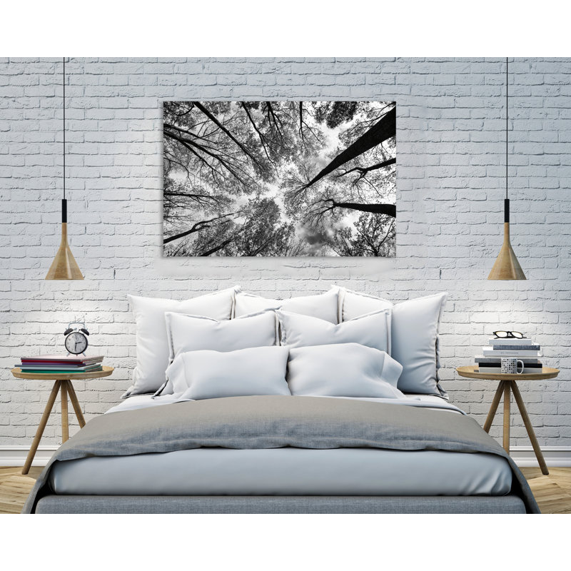 «Look Up I BW», toile tendue par Aledanda, H 28 po x l 42 po x P 1,5 po