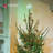 Christmas LED Lightweight Star Tree Topper-63662748