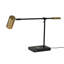 Allesandro Adjustable Metal USB Desk Lamp-1841817646
