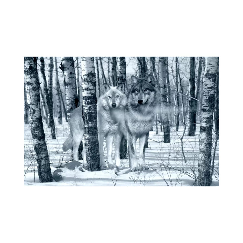 Snow Shadows Silvertones by Gordon Semmens - Wrapped Canvas Print, 20.32 cm H x 30.48 cm W