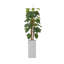 Pot à fleurs 81,6 po artificiel Devil's Ivy In A Square