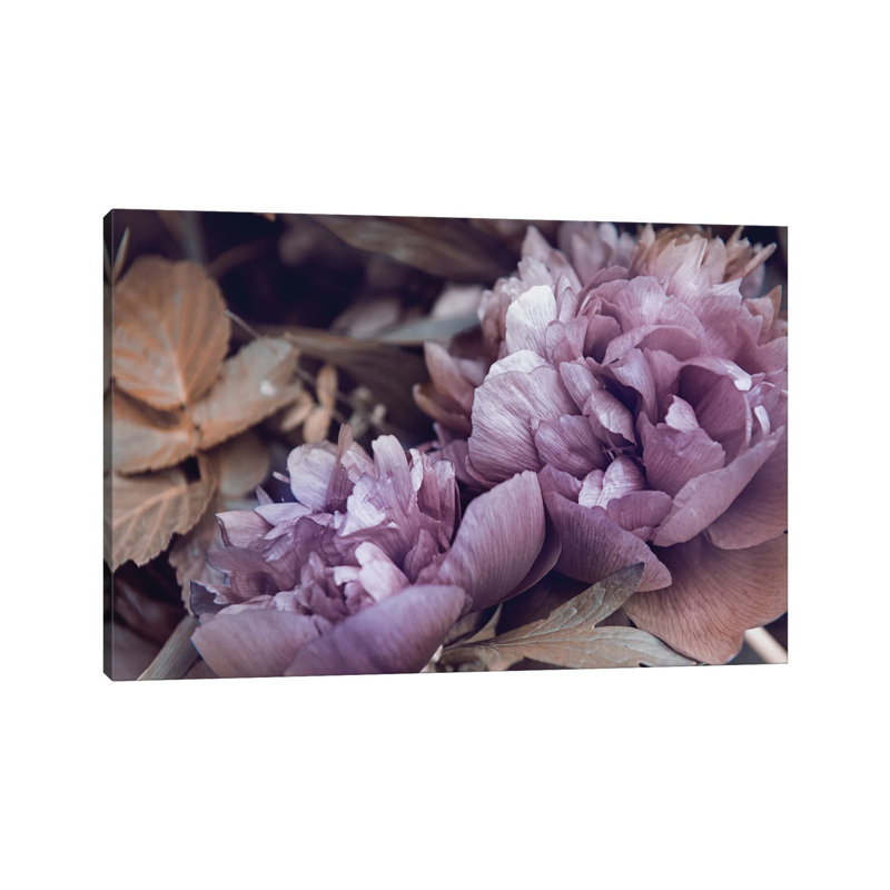 Secret XIV 1 Piece Wrapped Canvas Wall Art, 101.6 cm H x 66.04 cm W x 3.175 cm D