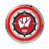 Badgers de Wisconsin