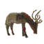Forest Stag Grazing